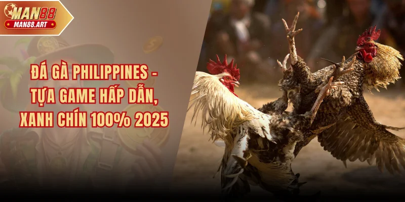 Đá Gà Philippines – Tựa Game Hấp Dẫn, Xanh Chín 100% 2025